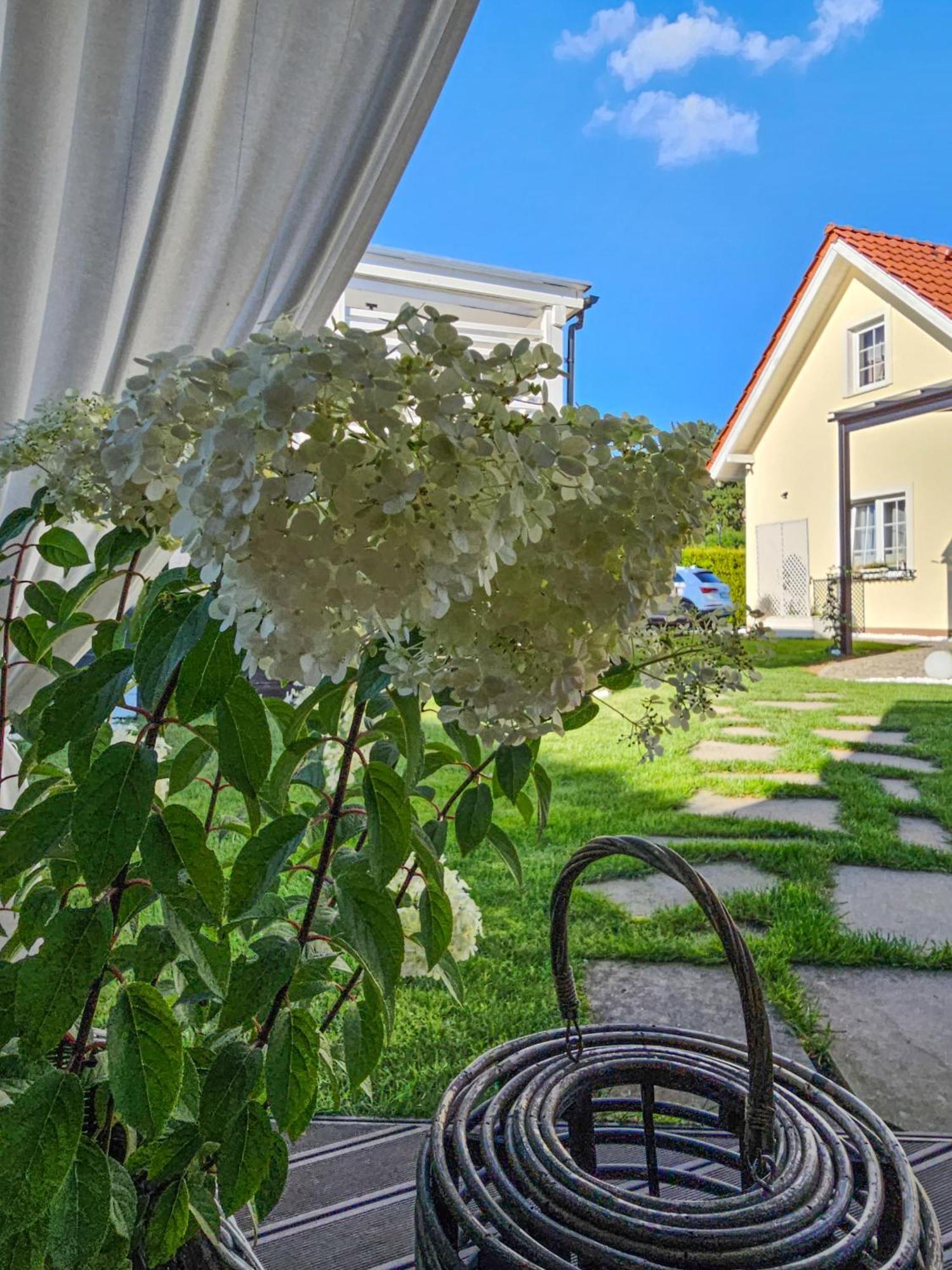 Apartamenty "La Villa" Z Klimatyzacja, Ogrodem, Parkingiem, Blisko Centrum Bad Kudowa Exterior foto