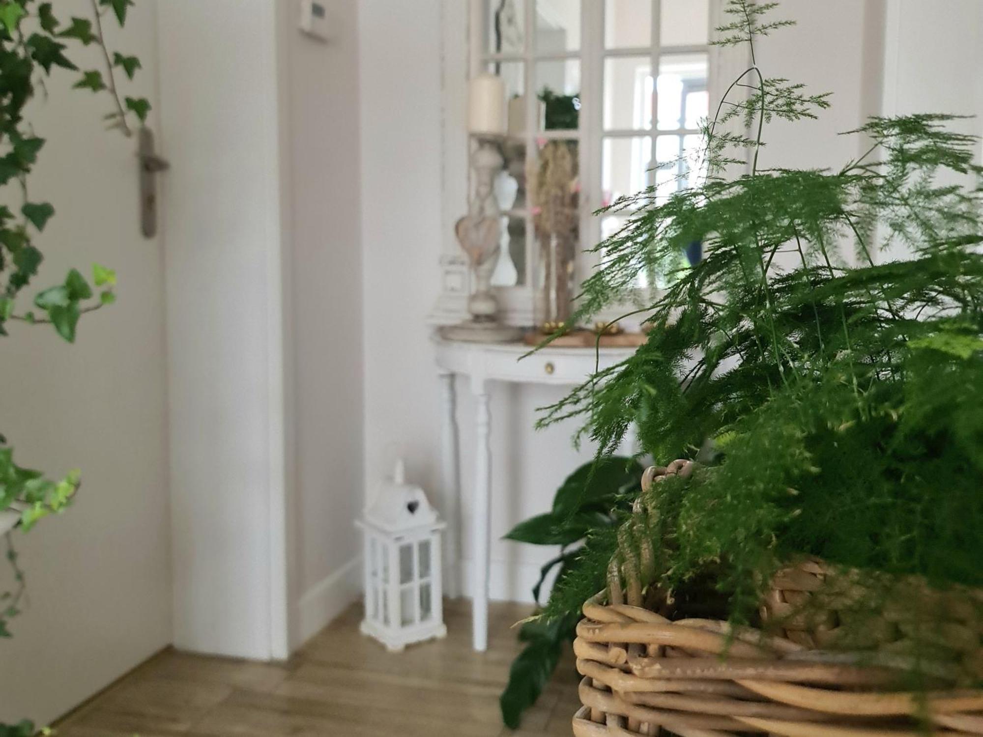 Apartamenty "La Villa" Z Klimatyzacja, Ogrodem, Parkingiem, Blisko Centrum Bad Kudowa Exterior foto
